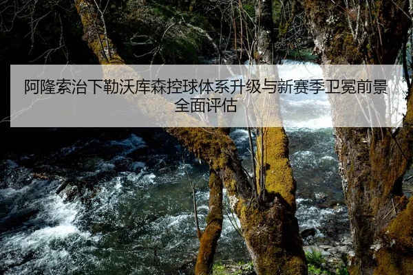阿隆索治下勒沃库森控球体系升级与新赛季卫冕前景全面评估